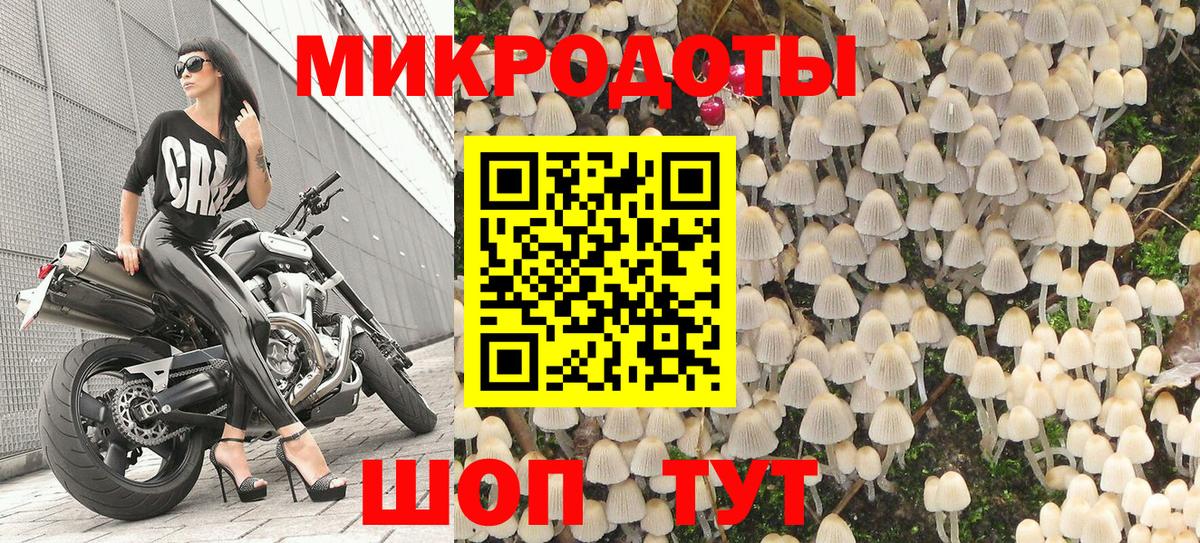 Галлюциногенные грибы Psilocybine cubensis Камышлов