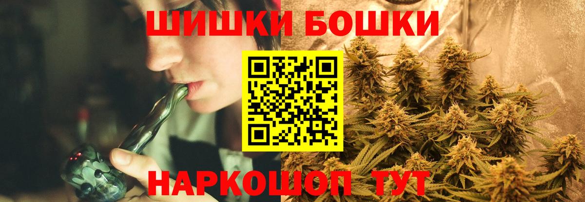 Камышлов  Каннабис планчик  Марихуана сатива  Вход с VPN 